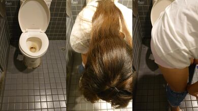 【精品厕拍】全景真实偷拍公共女坐厕，数位年轻小姐姐方便，火气有点大啊，尿的很黄(6V) (1)